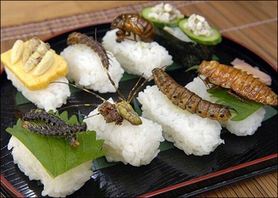 sushi-de-inseto1.jpg
